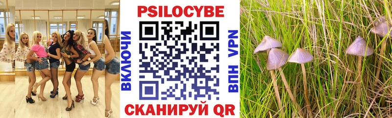 Псилоцибиновые грибы MAGIC MUSHROOMS  Первомайск 
